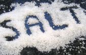 Descifrar el arte de la adición de sal