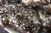 Bizcocho húmedo de chocolate coco