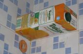 Estante de pared de Mini de Tetrapak (jugo de cartón, reutilización de tetra pack)