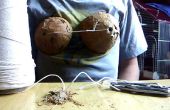 Cómo hacer un sostén de coco