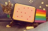 Nyan Cat-mascota traje