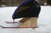 X-Country esquí / silla de paseo con raquetas de nieve