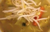 Comida frugal: Vegano coco Curry sopa de verduras