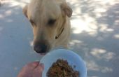 Alimentos para perros caseros, libre de gluten
