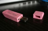 Rosa Eraser USB Flash Drive