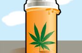 Marihuana medicinal: Comestibles