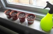 Cultivar plantas carnívoras! (con resultado) 