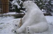 Cola polar Bear! 
