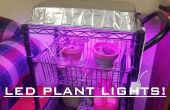 LED Grow luz para plantas de interior por 30 $! Fácil! 