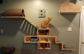 Aventura del gato y Escape de pared