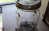 Recubierto de azúcar miel de abejas - o - como se prueba por los ácaros Varroa