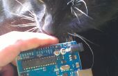 Ventana de Arduino controlado para el gato