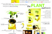 The Plant Shelf basic