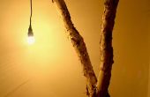 Lámpara de la rama del árbol