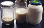 Cómo hacer manteca de coco, leche de coco y harina de coco