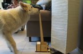 Interruptor de la lámpara DIY para perros