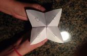 Origami de adivino
