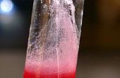 Extracción de ADN de fresas