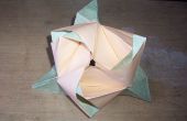 Cubo de rosas de origami mágico (Valerie Vann)