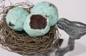 Huevos de petirrojos de trufa de Oreo