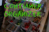 Reclaimed Plastic Container Organizer