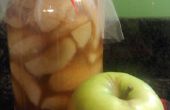 Relleno de tarta de manzana (receta de conserva)