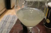 Coctelería para principiantes: Simple Margarita