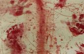 Bloodsplatters, ella hizo. Sangre en el tapete y alfombra. 