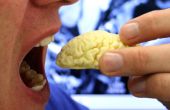 Cerebro de Chocolate comestible de resonancia magnética
