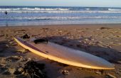 Reciclado de madera tablas de surf de madera huecos - 9'2