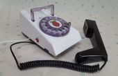Década de 1970 frambuesa Pi AlexaPhone Amazonas