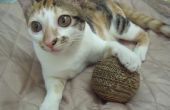 DIY eco bola cartón amable para el gato