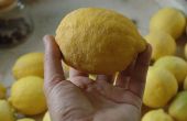 Simple sabroso Lemon Curd