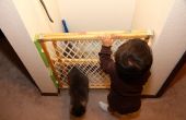 Protección de caja con puerta puerta y el gato bebé de la camada