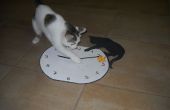 Captura de reloj peces gato