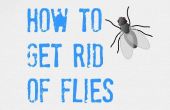 ÚLTIMO consejos sobre cómo conseguir librado de moscas (interior y exterior)