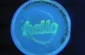 Cómo crecer "Hola mundo" con las bacterias de la GFP