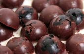 Chocolate Powerberries