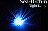 Luz de noche de erizo de mar! 
