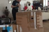Cómo hacer una caja de gato