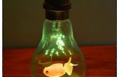 Goldfish en un globo de luz