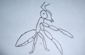 Cómo dibujar a Gary la Mantis religiosa! 