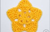 Cómo Crochet un Star (5)