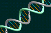 La ciencia del ADN! 