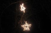 Al aire libre colgando estrellas del árbol. 
