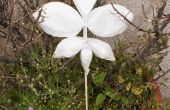 Origami lily / Flor de lis origami