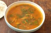 Sopa de pollo, espinacas y tomate de estilo indio del Sur