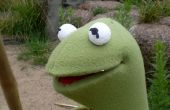 Kermit el clon de la rana