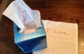 50 formas de decir I Love usted con un Kleenex Box