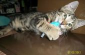 Catnip ratón gato juguete